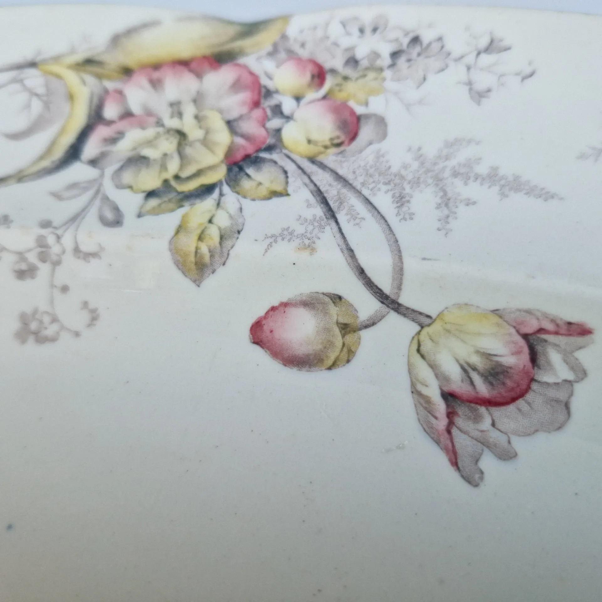 Large oval dish Cauldon Place England – Ironstone / English earthenware