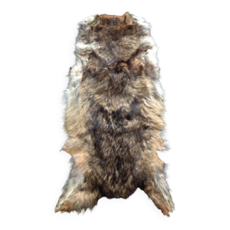 Peau de renard vintage n°1