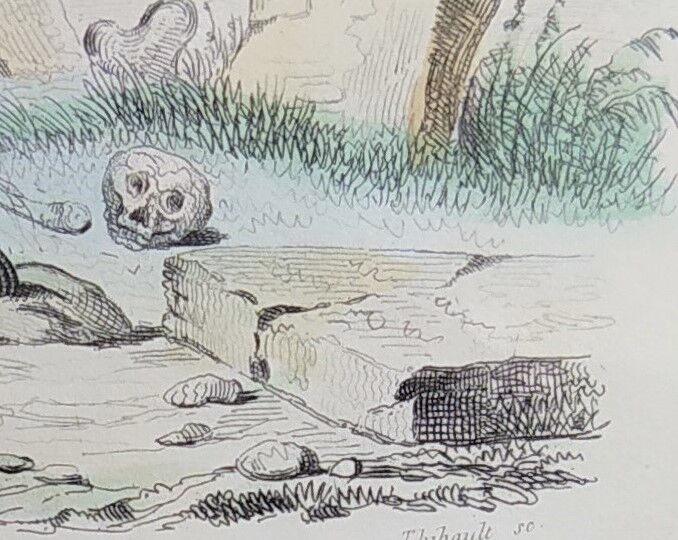 Original Zoological Board "Hyena - Otter of Canada" Buffon 1840