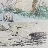 Original Zoological Board "Hyena - Otter of Canada" Buffon 1840