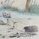 Planche zoologique originale " Hyène & Loutre du Canada " Buffon 1840