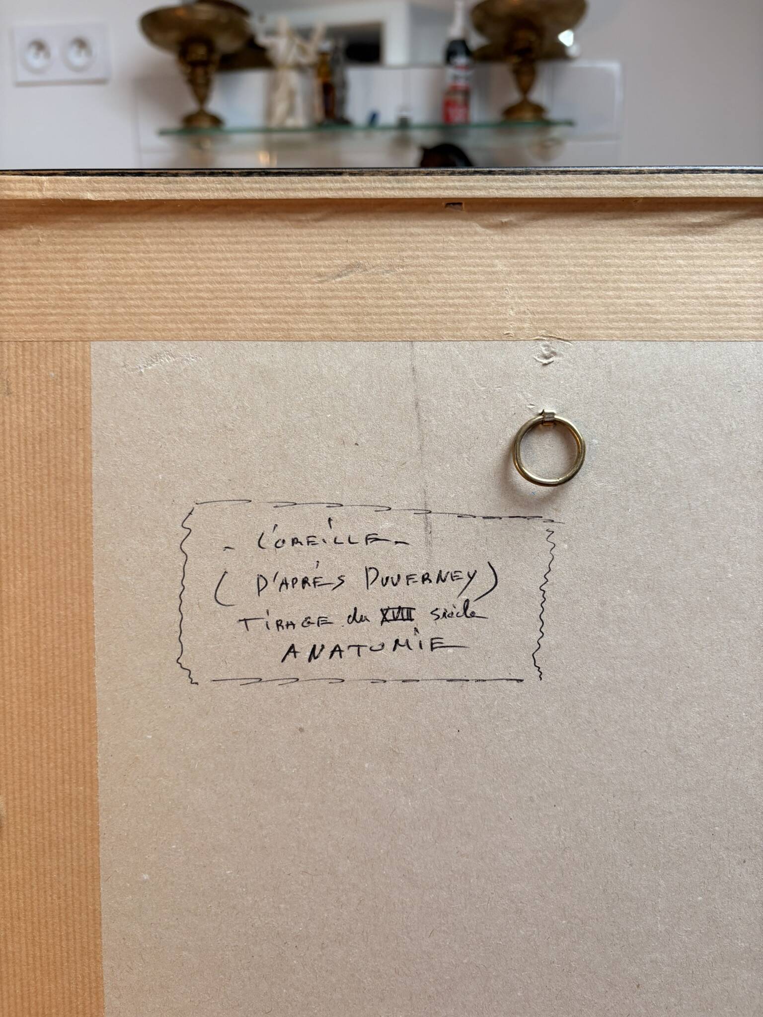 Engraving of Verney Duverney Valsava Encyclopaedia Direct Anatomy Ear