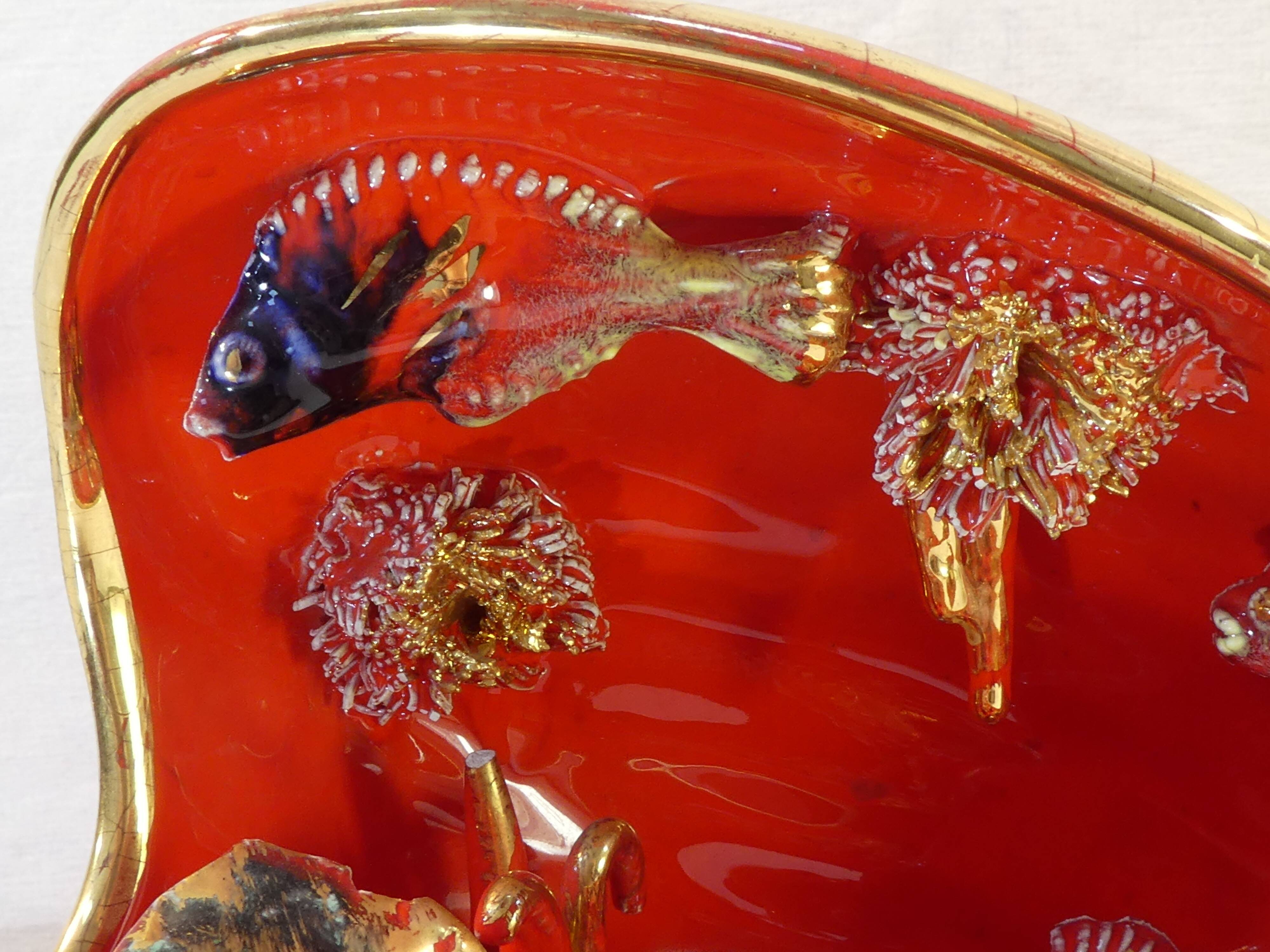 Night light shell from Vallauris