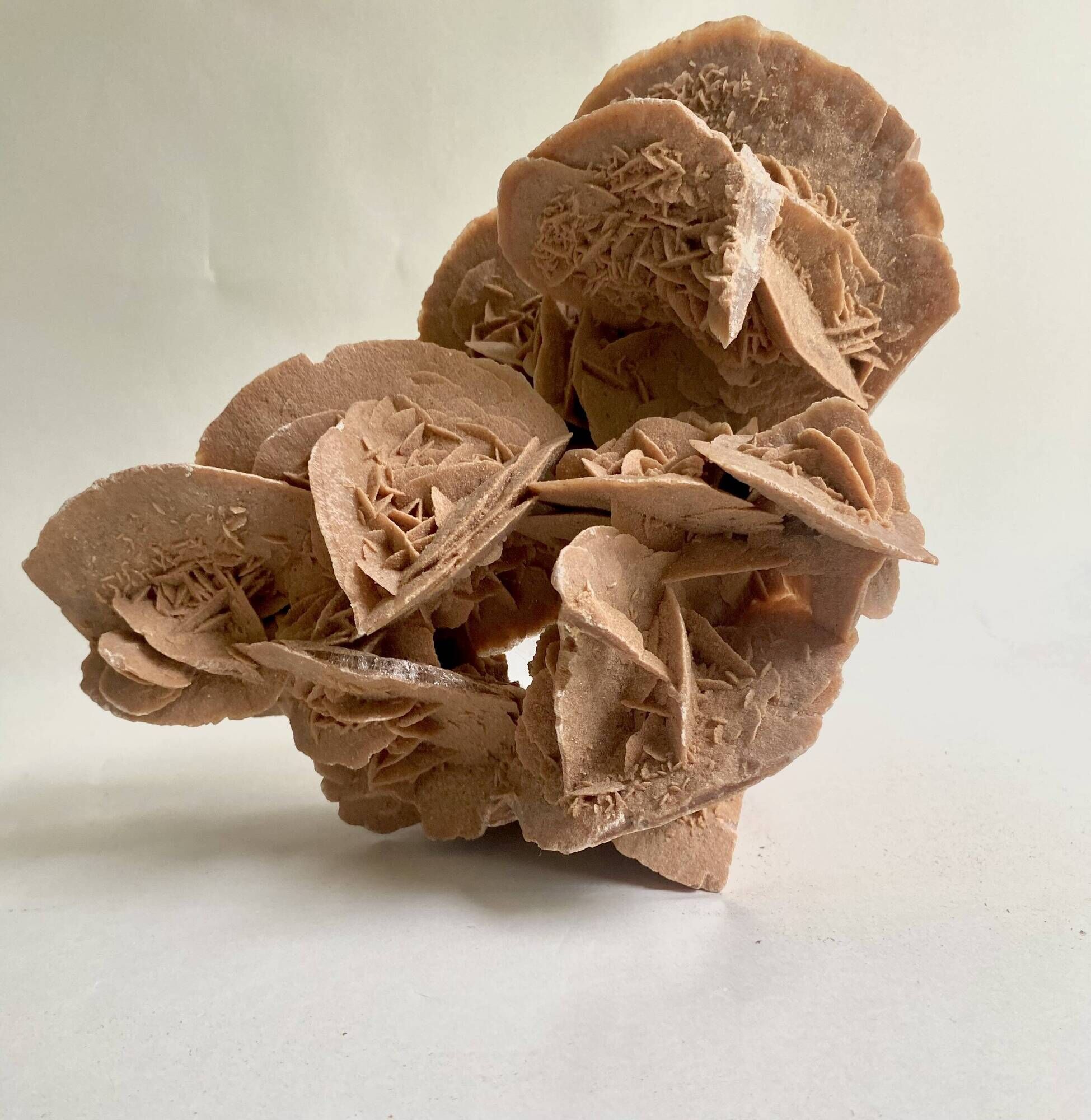 Sand rose 23 cm