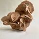 Sand rose 23 cm