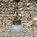 1900 pendant light in glass and brass