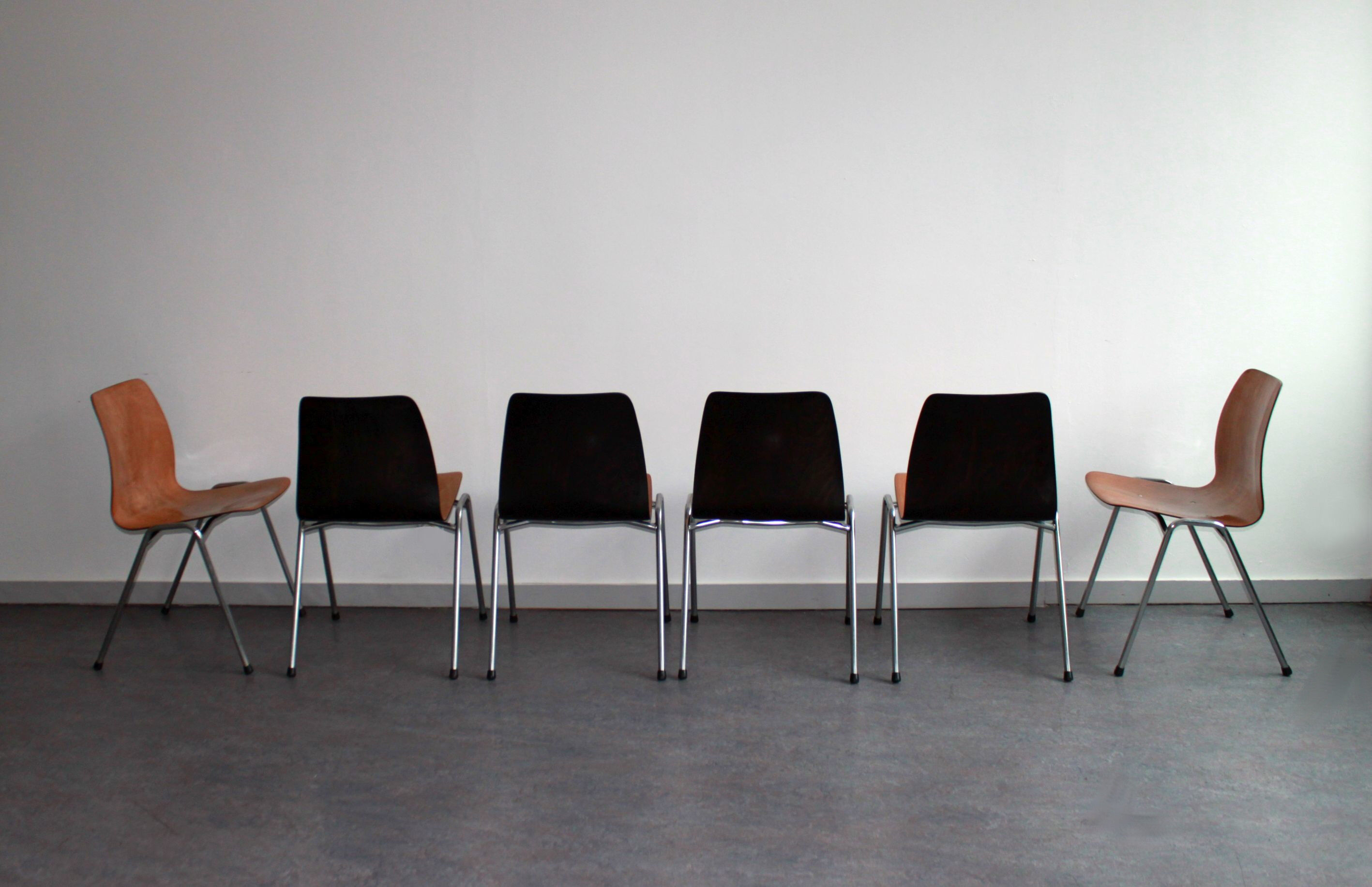 Ensemble de 6 chaises pagholz bicolores par Adam Stegner, 1960