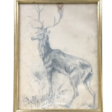 Drawing signed deer in charcoal