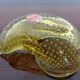 Italian Murano Glass Shell by Archimede Seguso for Murano, 1960s