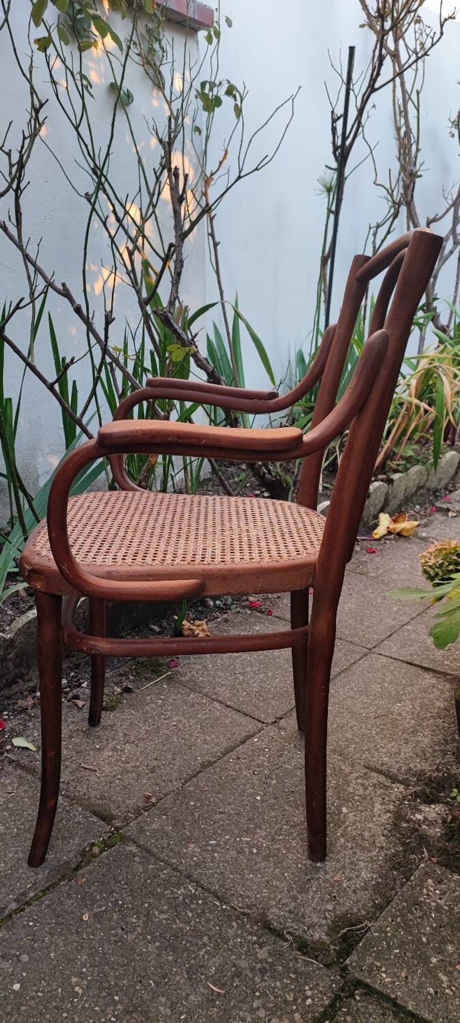 Thonet armchair no. 56