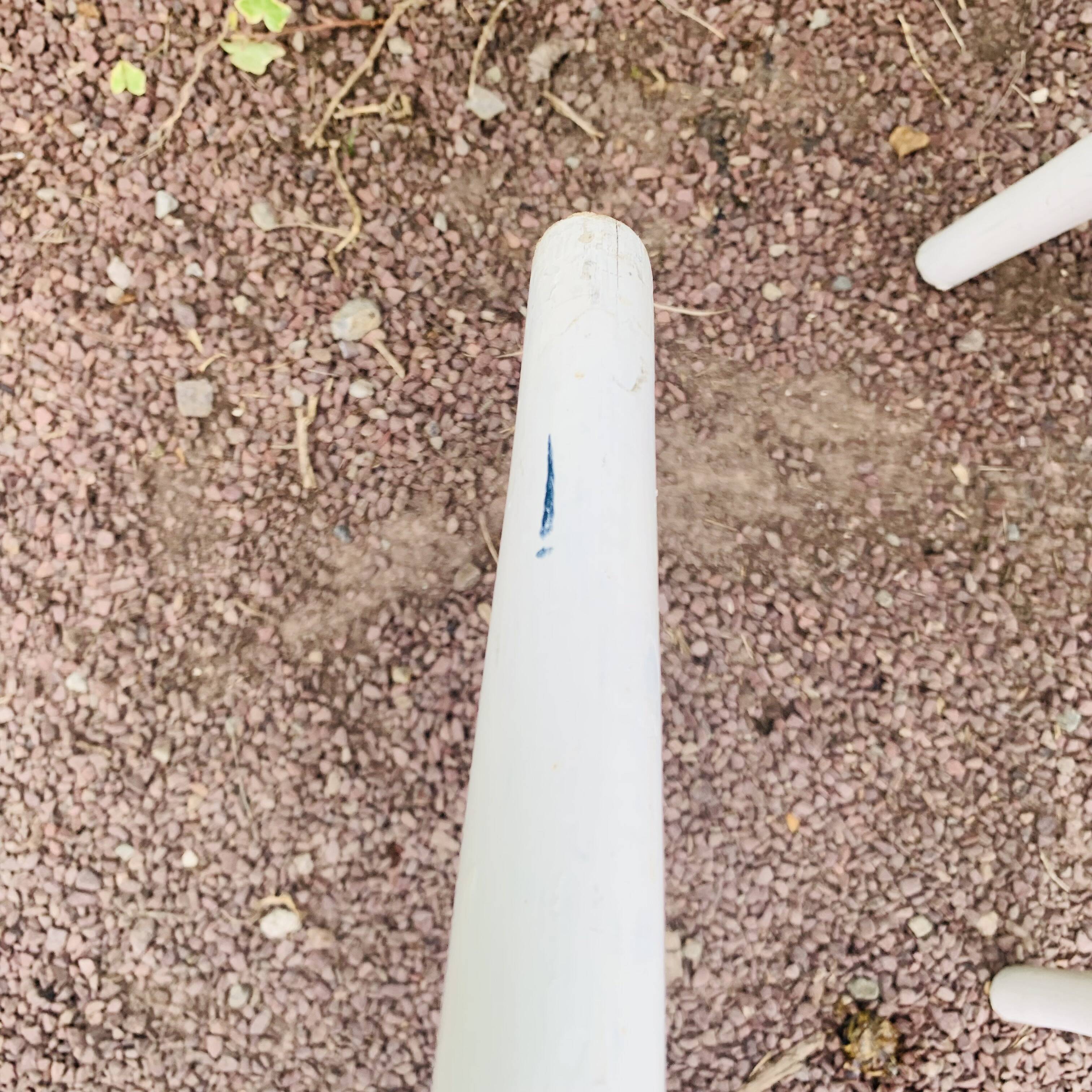 Antique pair of Italian Salvatore Leone chairs