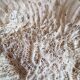 white coral "brain" - 836 grams - 13.5 x 9.8 x 8 cm