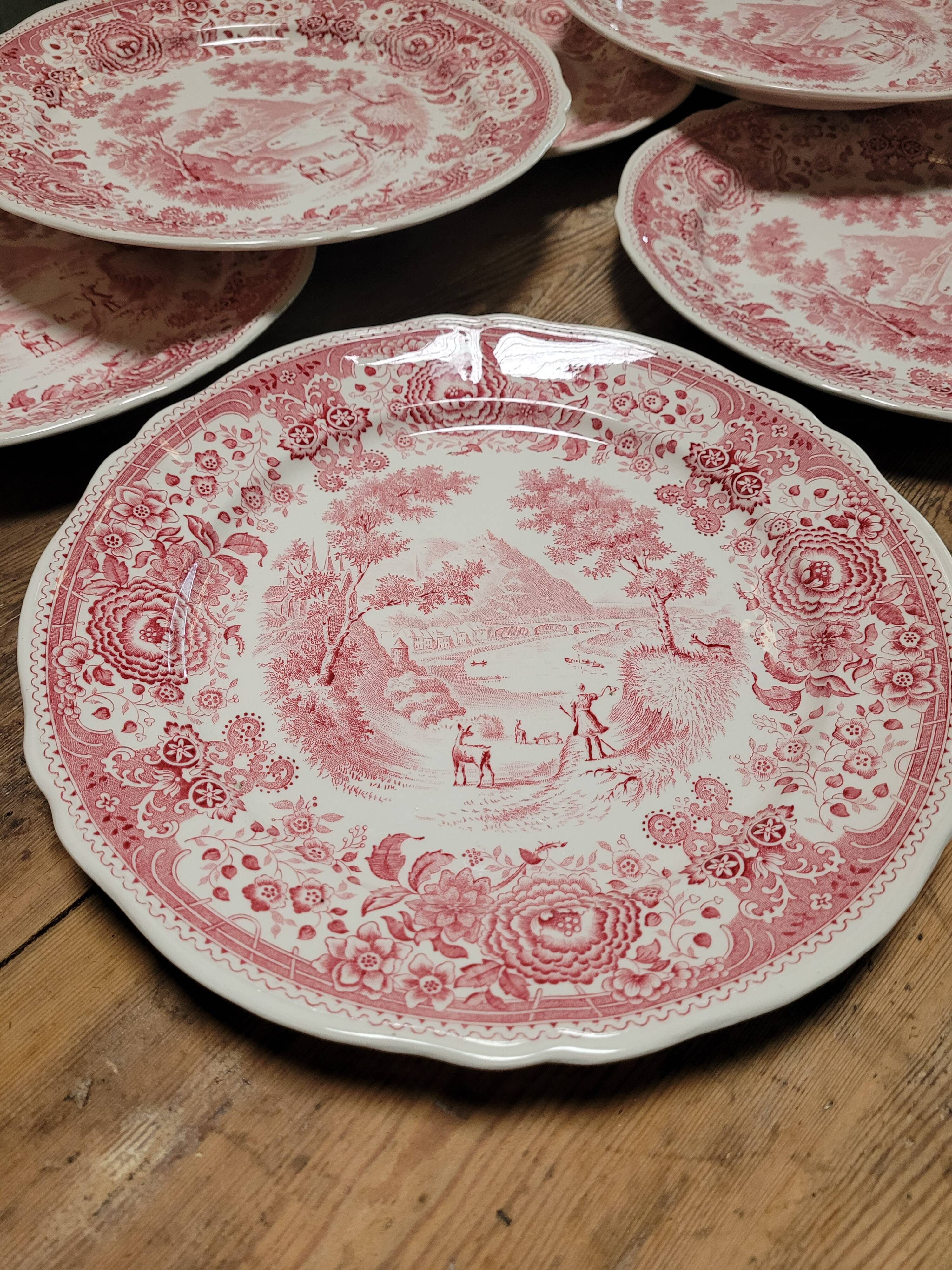 10 flat plates Burgenland