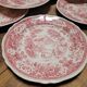 10 flat plates Burgenland