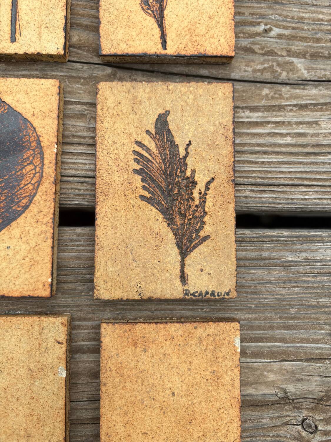 Set of 52 Vallauris herbarium tiles signed Capron