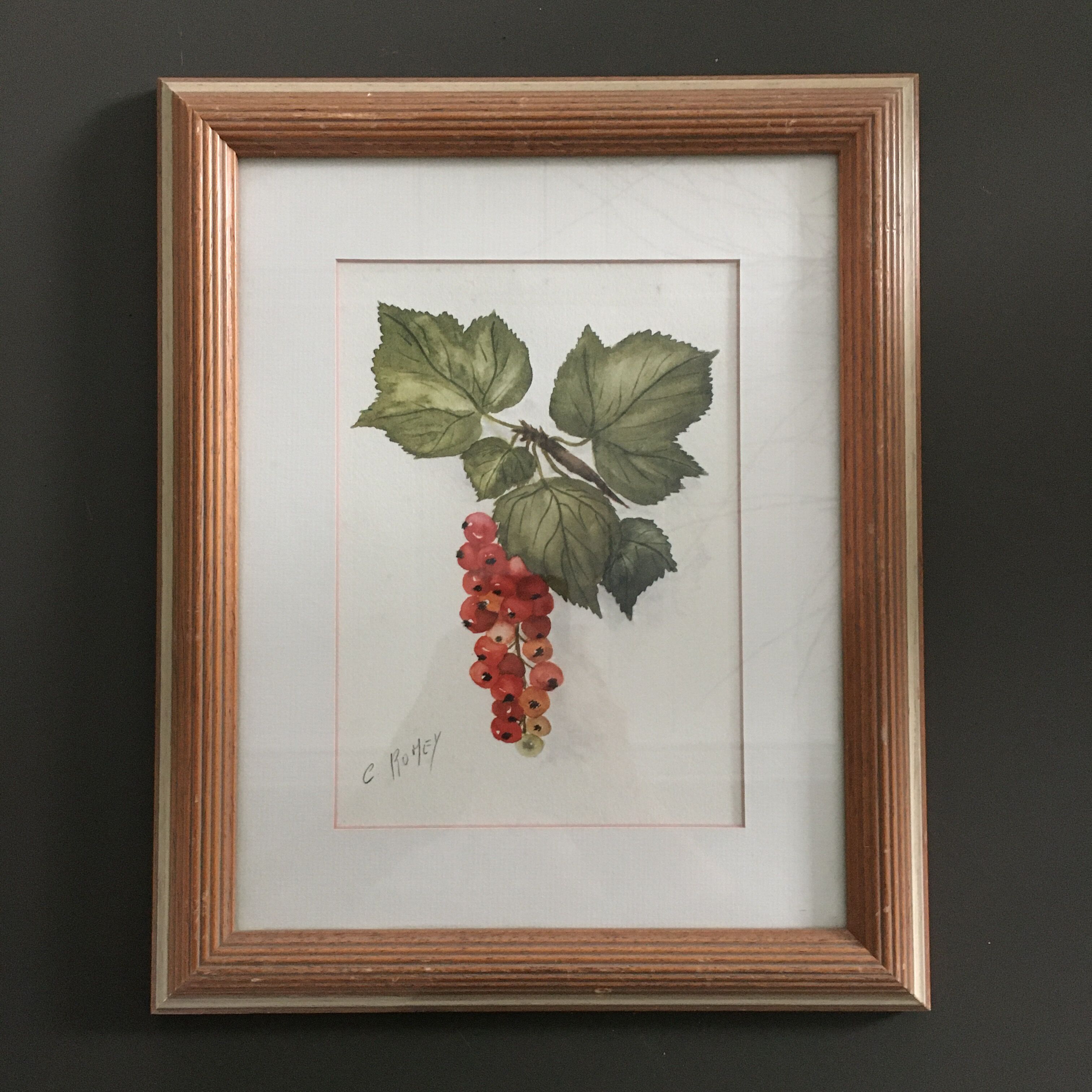 Aquarelle grappe de groseilles