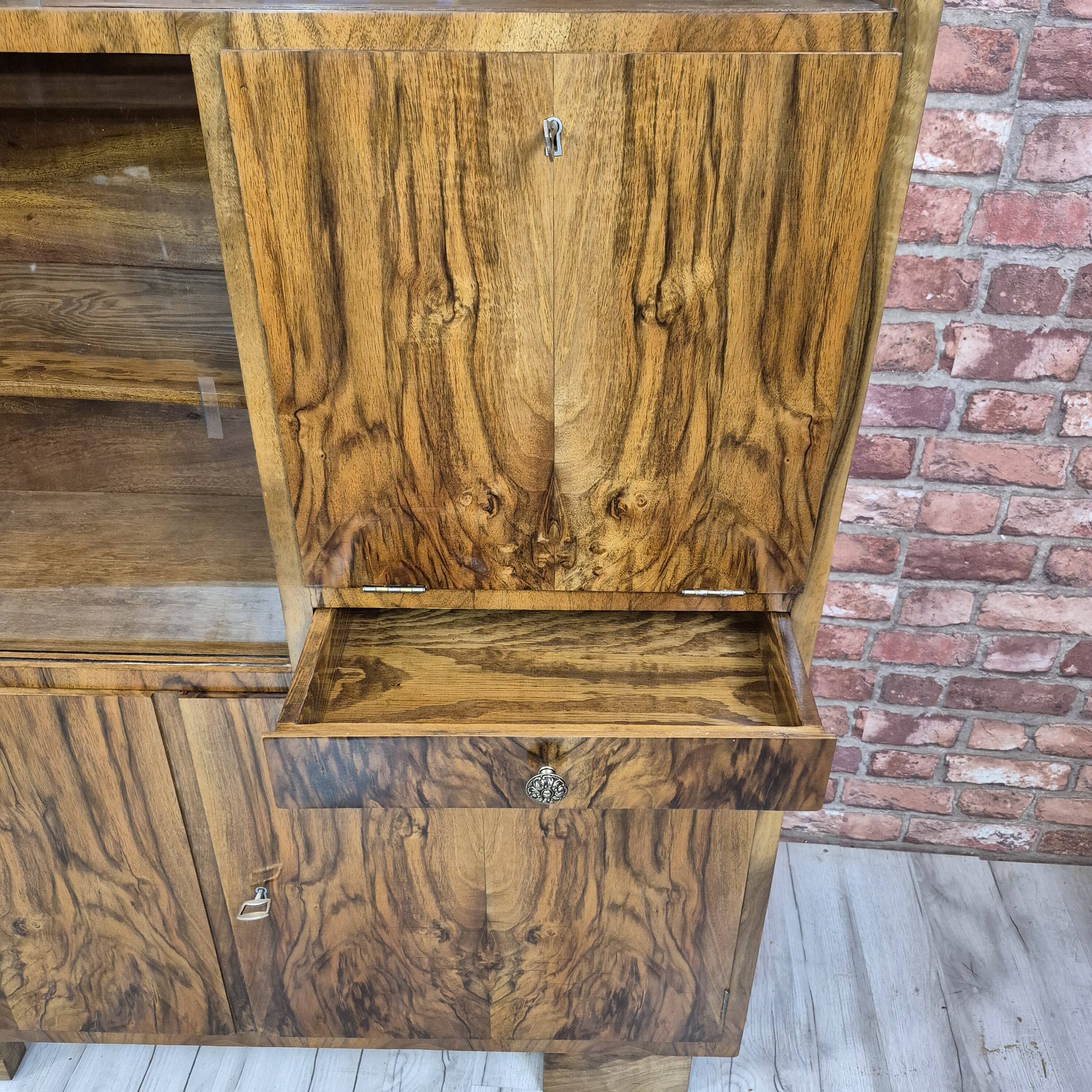 Walnut Bookcase / display cabinet, only 30 cm deep! After renovation