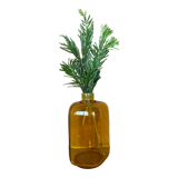 Amber glass apothecary jar