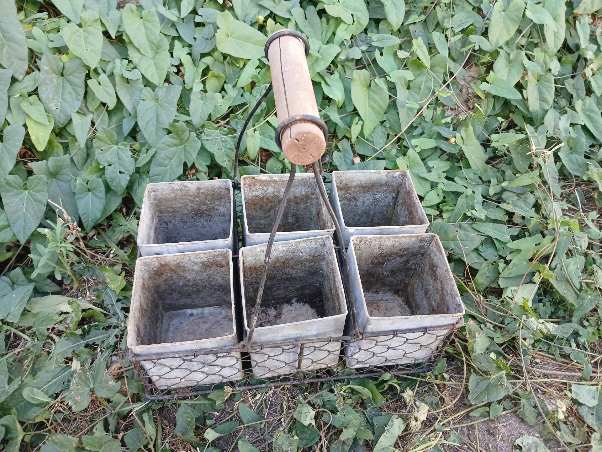 Wire mesh basket