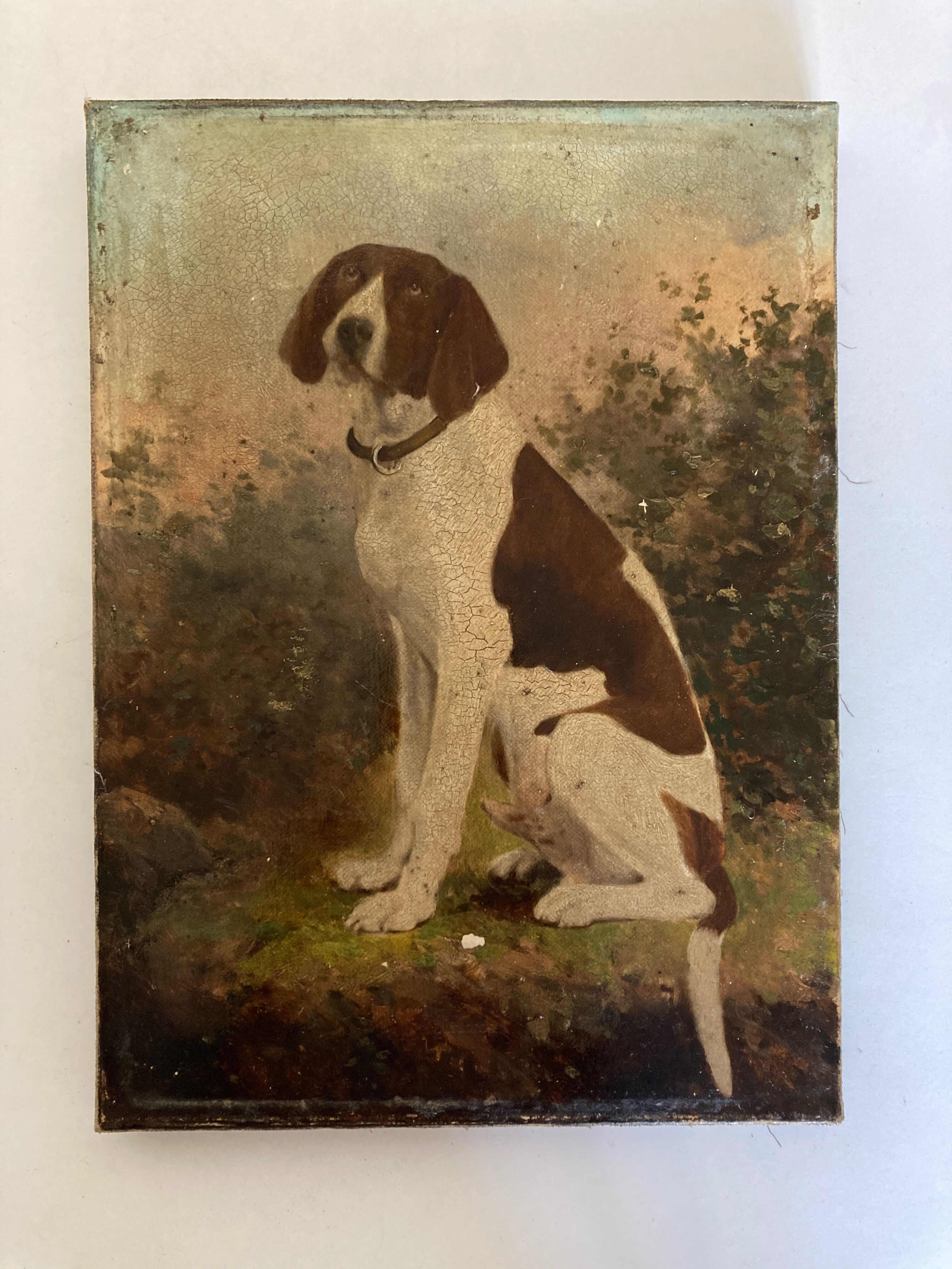 Portrait of country dog oil on canvas 1900