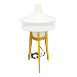 Mid Century Sculptural Floor Lamp with Glass Shade, 1970s