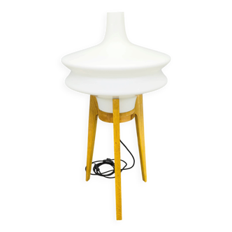 Mid Century Sculptural Floor Lamp with Glass Shade, 1970s
