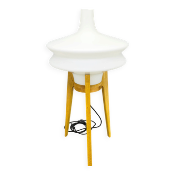 Mid Century Sculptural Floor Lamp with Glass Shade, 1970s