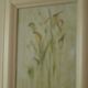 "Arums" by Blum
