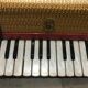 Accordéon bempa