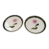 2 dinner plates