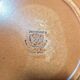 Assiette plate vintage faïence de St Amand motif feuillage Cevennes