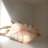 Vintage shell