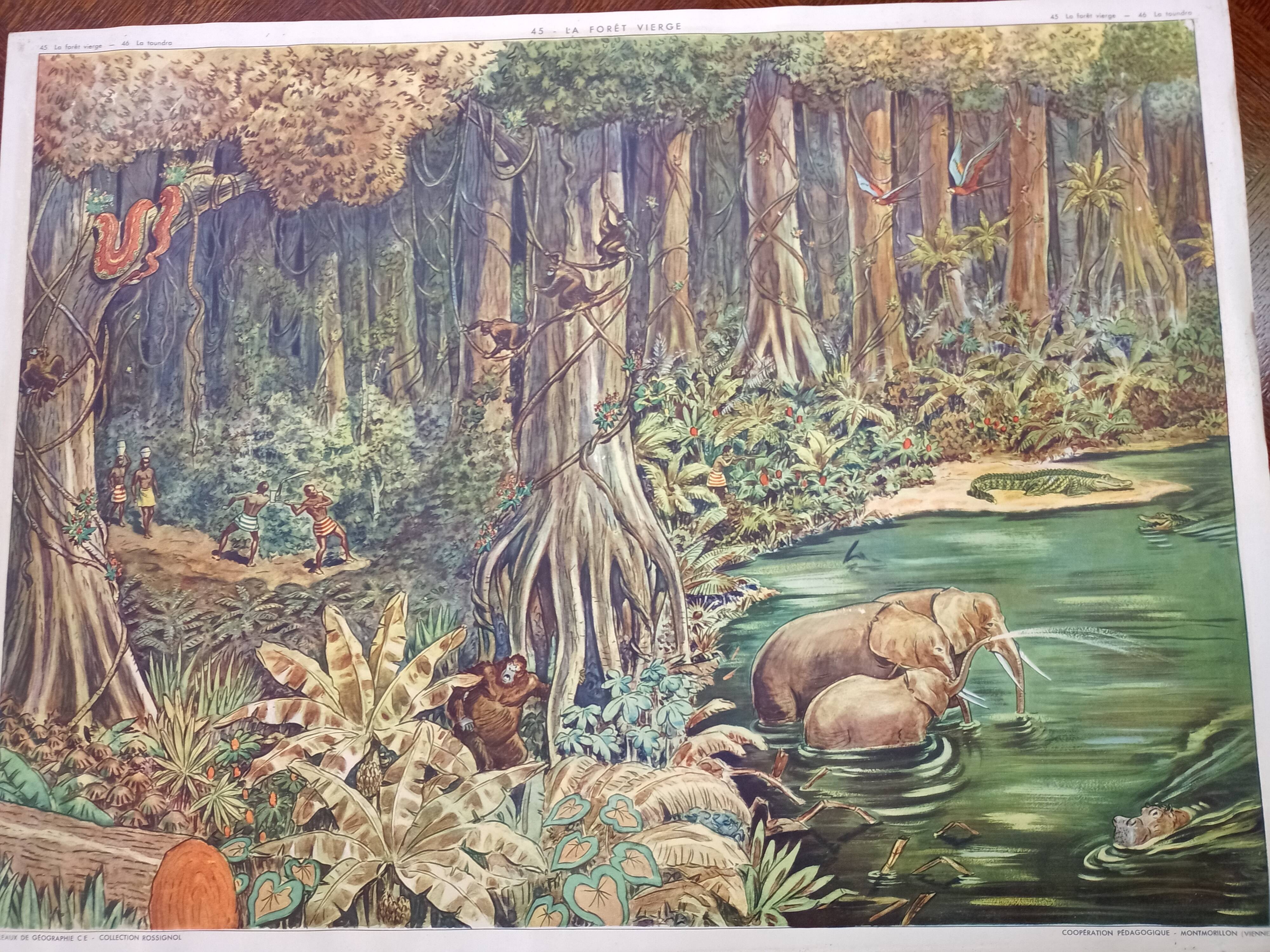 Rossignol school poster 45. The Virgin Forest 46 The Tundra
