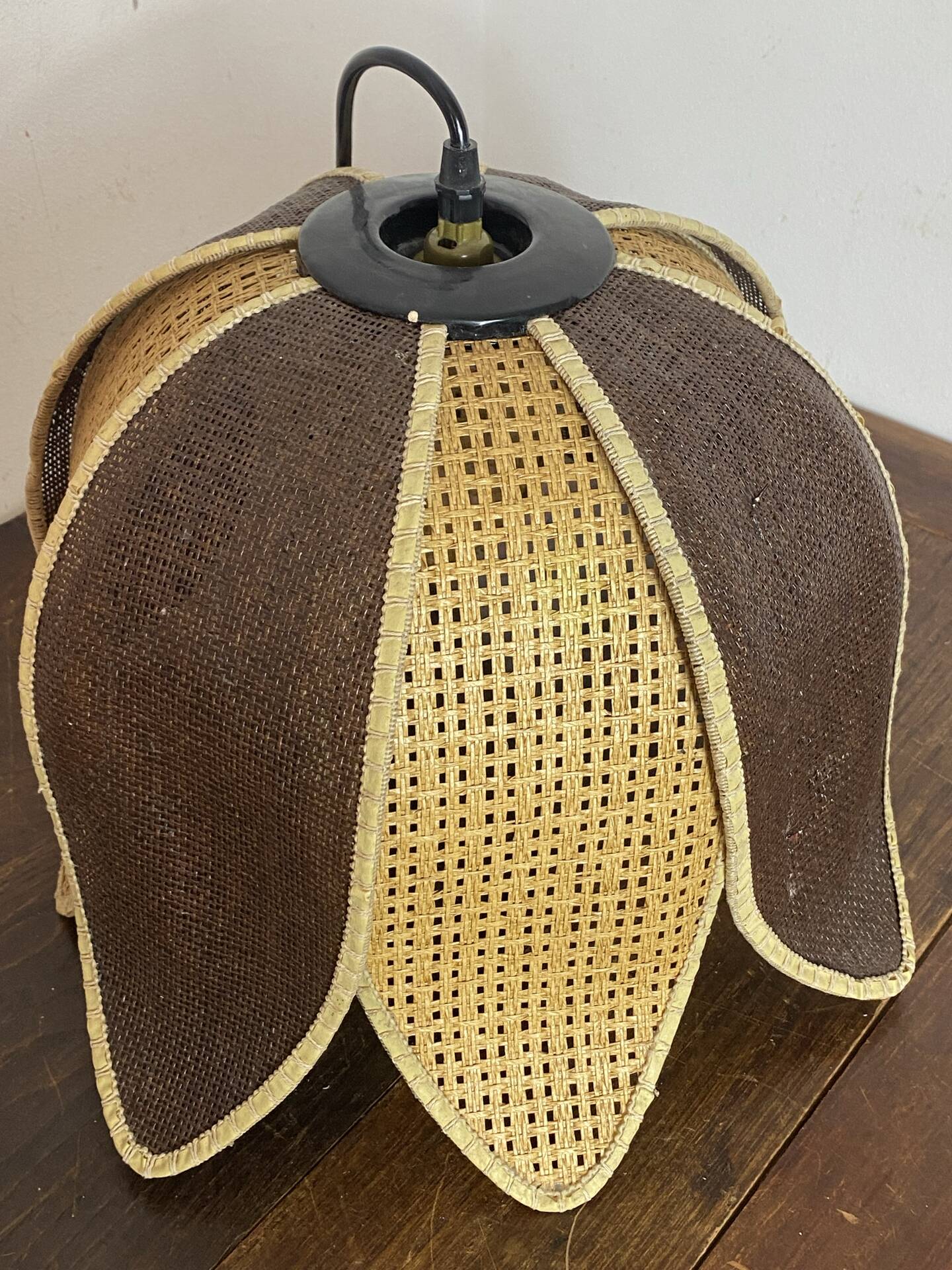 Organic rattan suspension