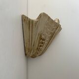 Pair of vintage shell wall lights, beige patinated plaster, France, 1940