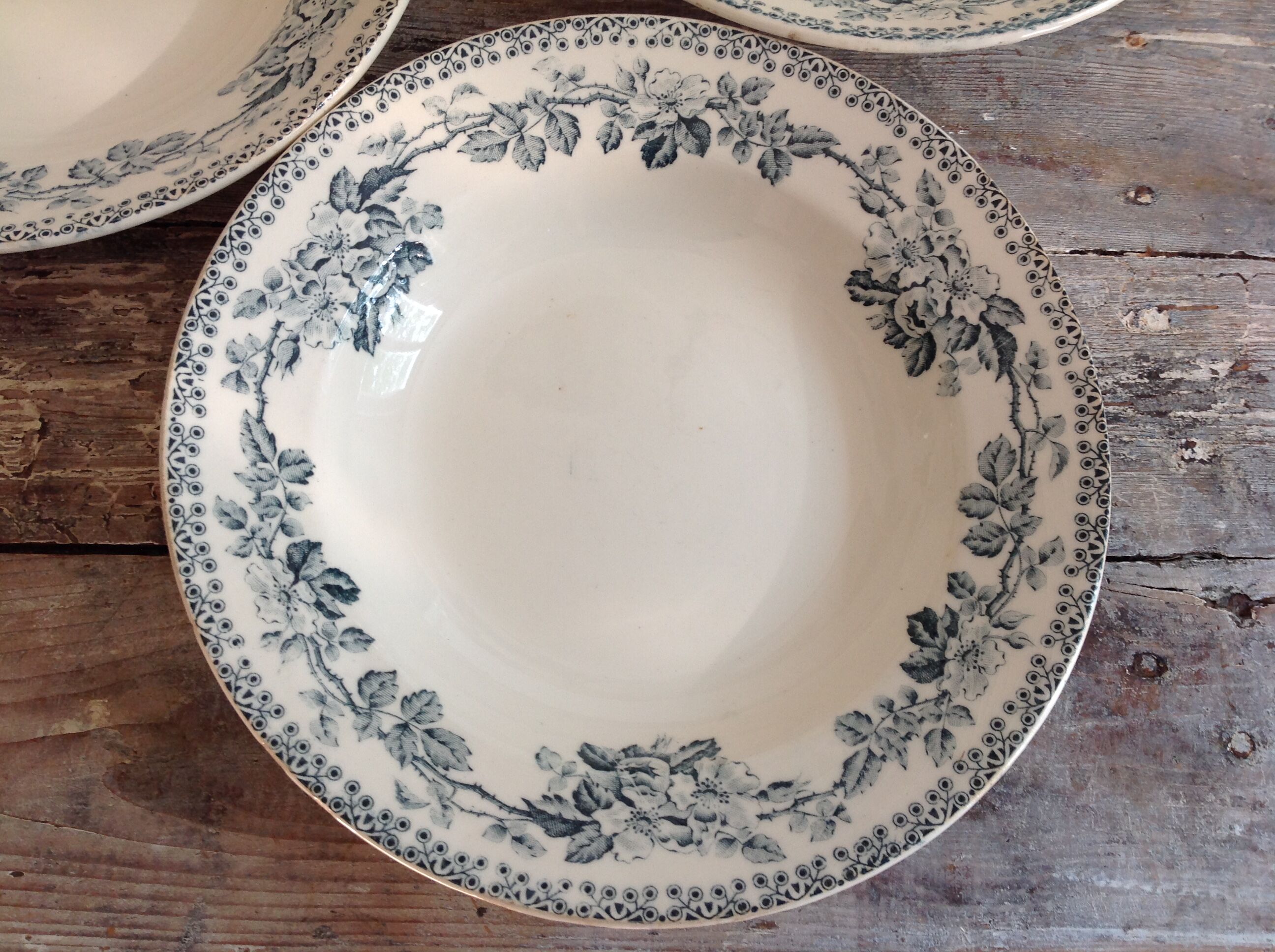 Set of 12 deep terre de fer plates