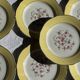 Lot de 19 grandes assiettes plates vintage jaunes fleurs roses liseré doré