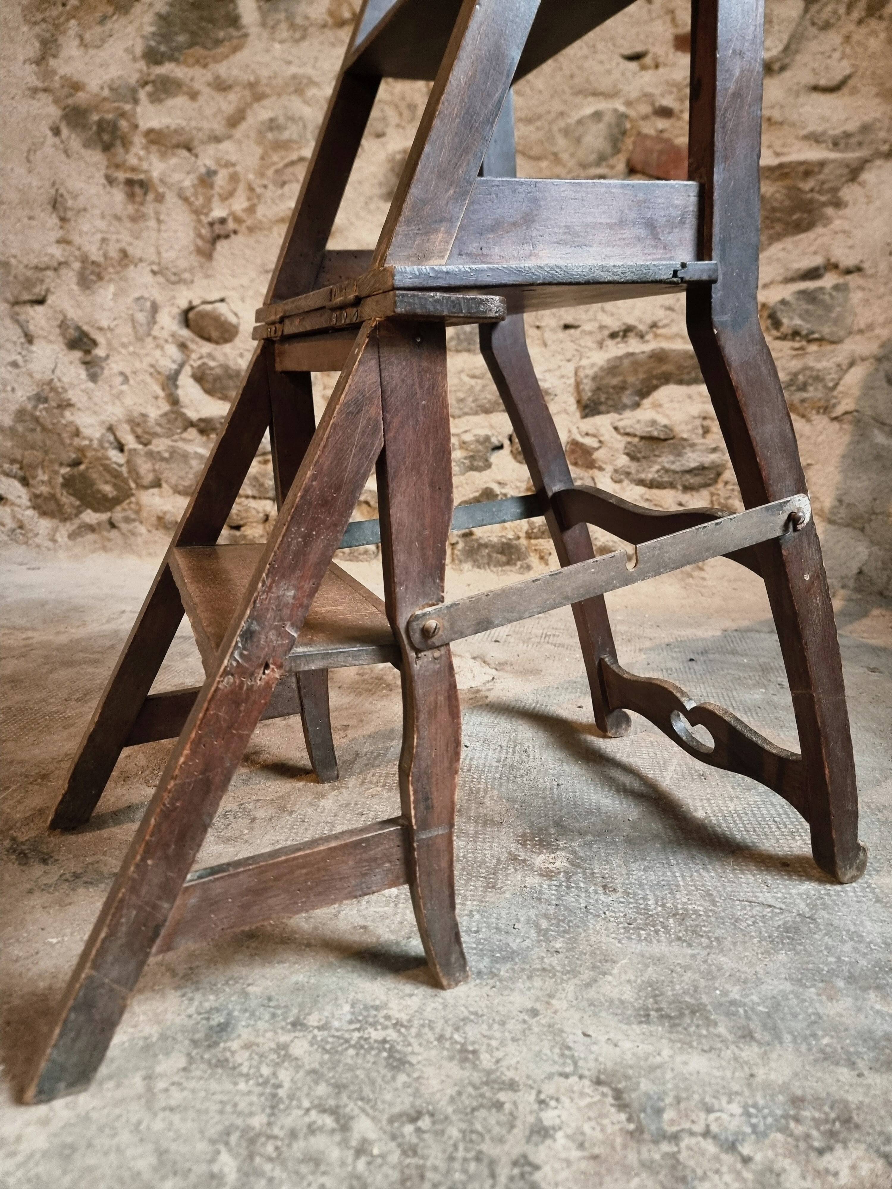 Chaise escabeau de bibliothèque ancienne – Chaise métamorphique en hêtre, France, début 1900