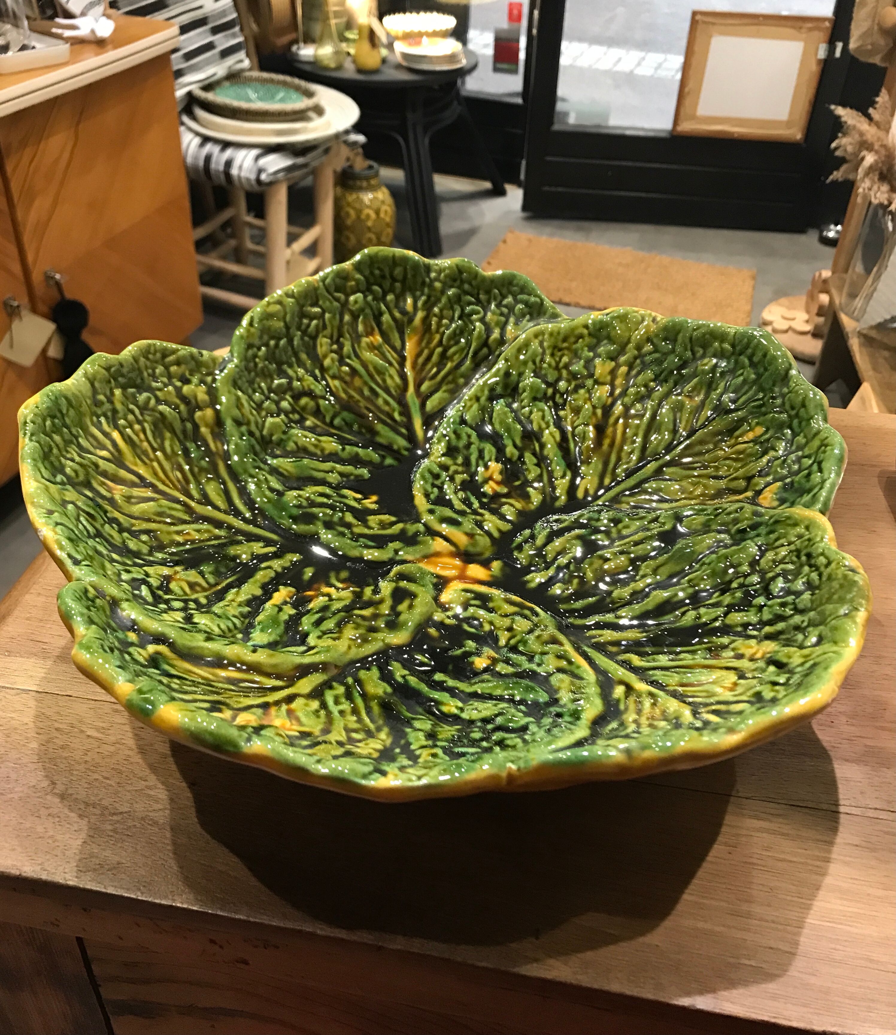 Flat slurry cabbage leaves Vallauris