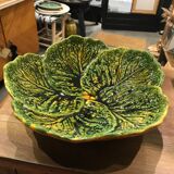 Flat slurry cabbage leaves Vallauris