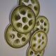 6 oyster/shellfish plates from Moulin des Loups in very good condition.