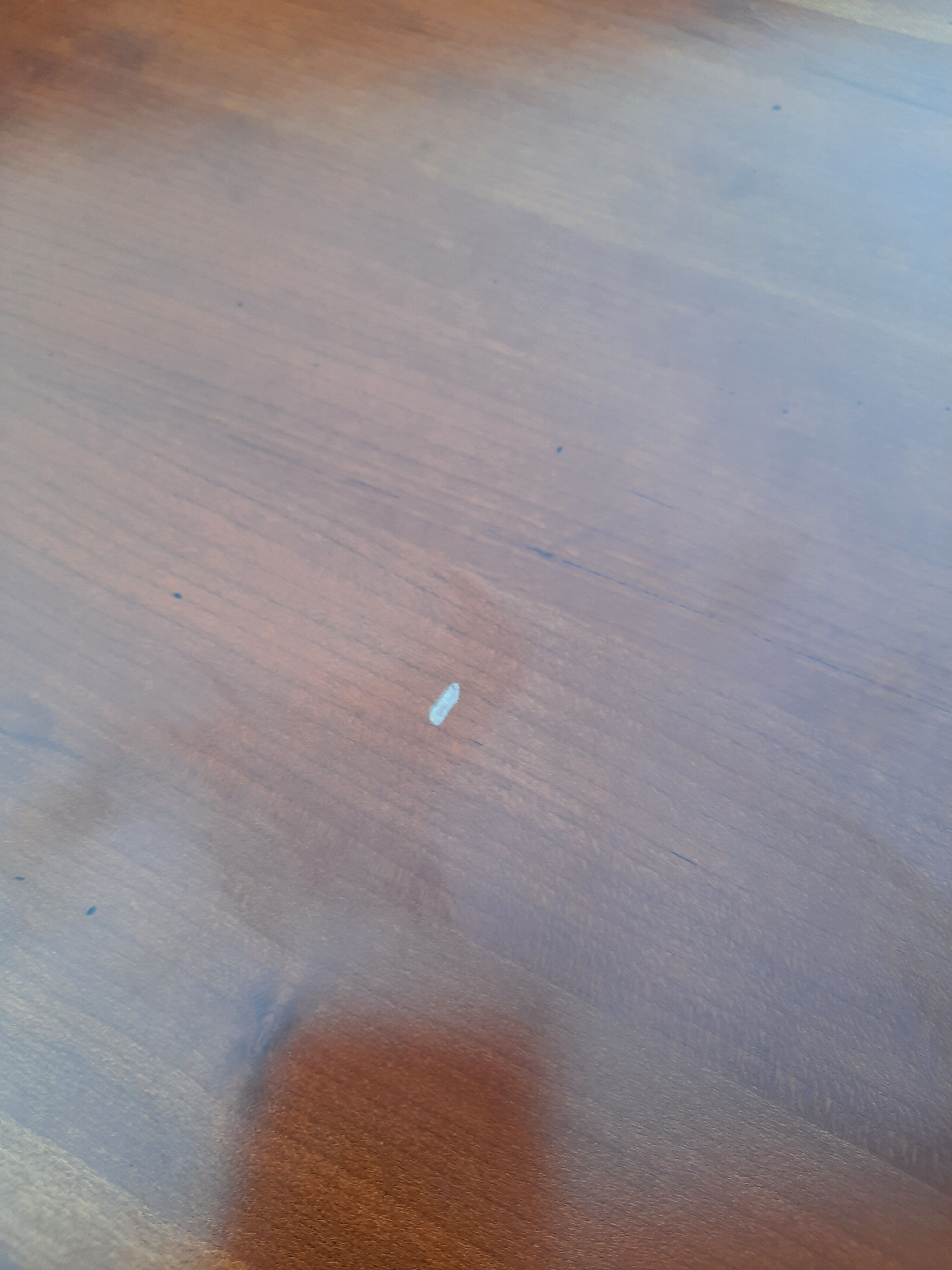 Philippe Louis style round table