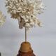 Paire d'anciens coraux blancs sur socles en bois industriel, 21 cm
