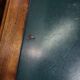Old Louis Philippe style desk in walnut