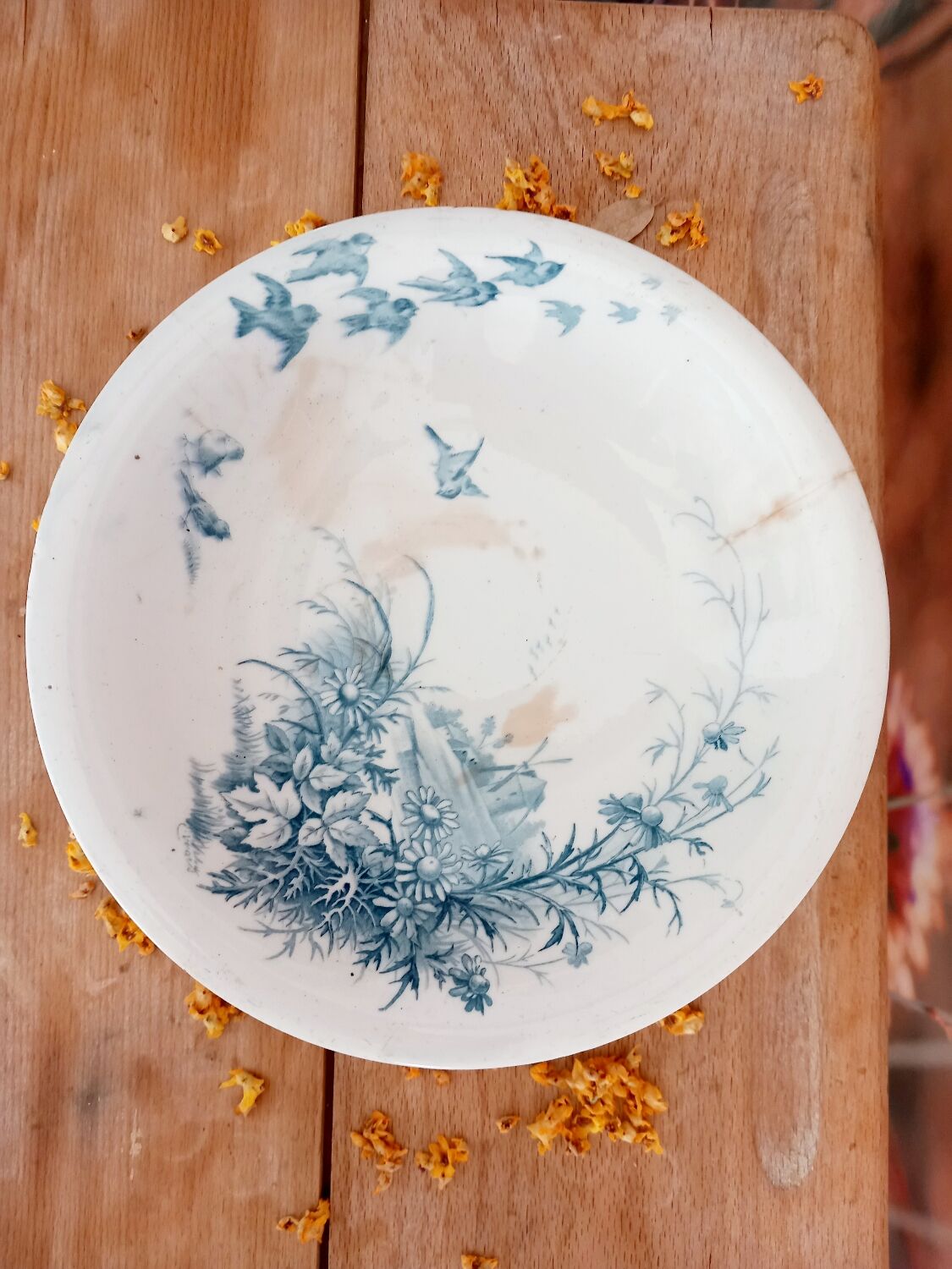 Compotier Giens Landscape Collection