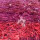 Moroccan rug Beni M'Guild purple - 296 x 192 cm