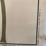 Former School Poster Rossignol Number 11