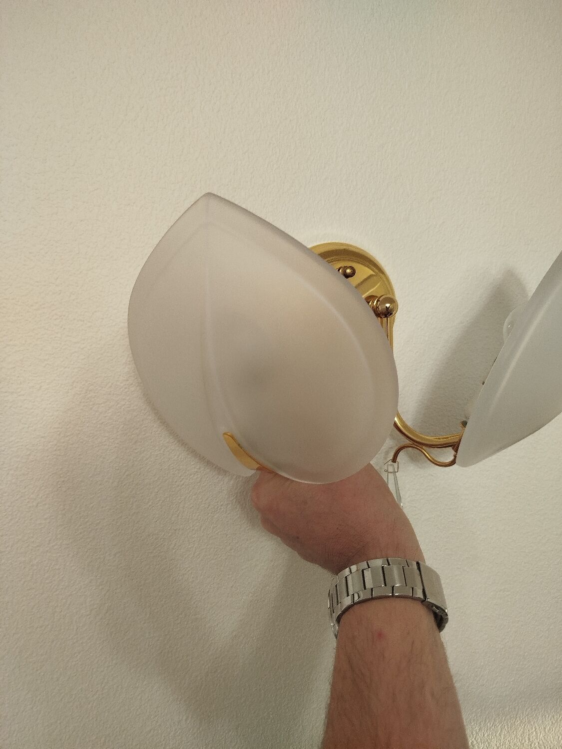 Pair of double wall sconces, gold leaf, shell, Hollywood Regency