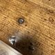 Large cherrywood farmhouse