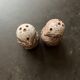Norbert Pierlot ceramic owl salt and pepper set